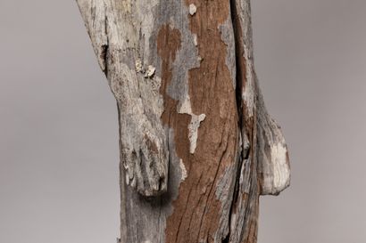 null 
SAKALAVA of the south, Madagascar.





Eroded monoxyle carved wood, beautiful...
