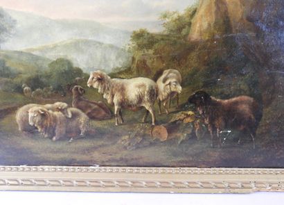 null XVIIIth century FLEMISH SCHOOL: Sheep resting near the rocks. Oil on parquet...