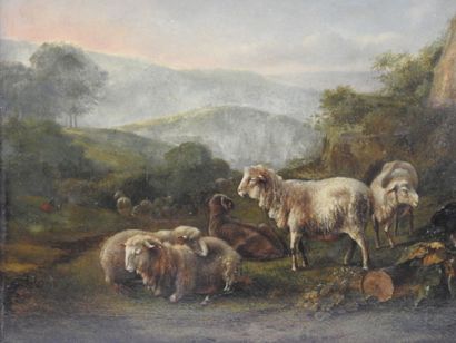 null XVIIIth century FLEMISH SCHOOL: Sheep resting near the rocks. Oil on parquet...