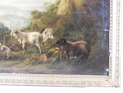 null XVIIIth century FLEMISH SCHOOL: Sheep resting near the rocks. Oil on parquet...