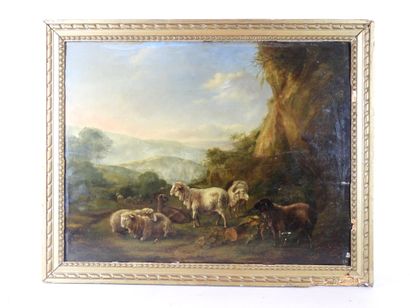null XVIIIth century FLEMISH SCHOOL: Sheep resting near the rocks. Oil on parquet...