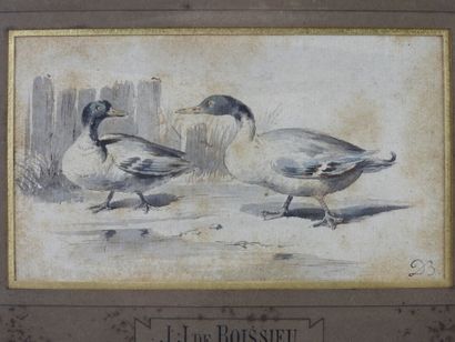 null Attributed to Jean-Jacques de BOISSIEU (1736-1810)


Study of ducks


Pen and...
