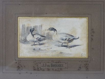 null Attributed to Jean-Jacques de BOISSIEU (1736-1810)


Study of ducks


Pen and...
