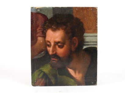 null In the style of Franz POURBUS: Portrait of a man. Oak panel. (fragment). 18.5...