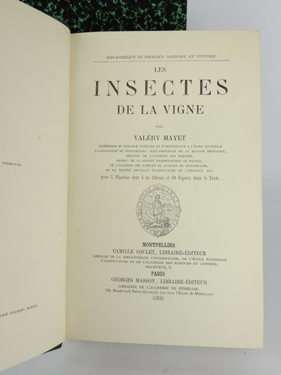 null DEUX VOLUMES XIXème.



- Valéry MAYET : Les insectes de la vigne. Montpellier,...