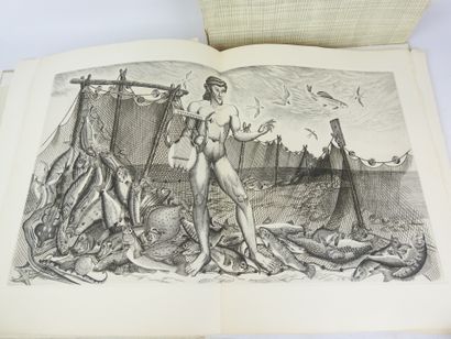 null Guillaume APOLINAIRE : Le bestiaire ou cortège d'Orphée. Illustré de burins...