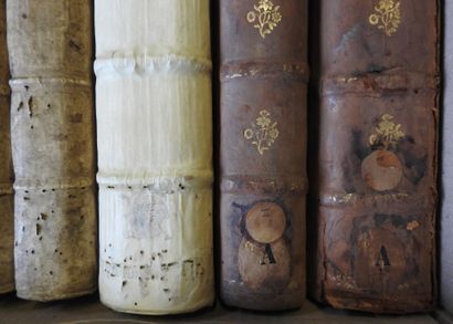 null 7 volumes in-folio des XVIIe & XVIIIes. dont :  GRENADE,  Droit Canon,  Saint...