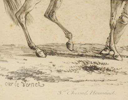 null Carle VERNET after

Plate n° 3: Norman horse 

Print 

Signed in the plate 

31.5...