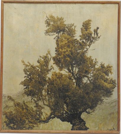 Charles Paul Octavie SEAILLES (1855-1944)

Tree

Oil...
