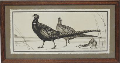 null Paul MARCUEYZ 1877-1952 after

Pheasants and Frogs

Print

Signed in the plate...