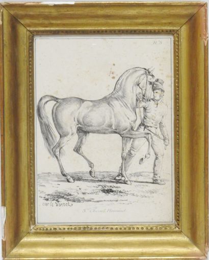 Carle VERNET after

Plate n° 3: Norman horse...