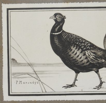 null Paul MARCUEYZ 1877-1952 after

Pheasants and Frogs

Print

Signed in the plate...