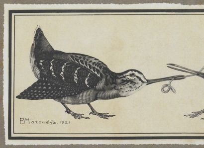 null Paul MARCUEYZ 1877-1952 after

Beaks and earthworms

Print

Signed in the plate...