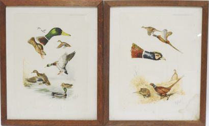 null Boris Riabouchinsky known as RIAB after

Meeting of two prints in colors : Pheasants...