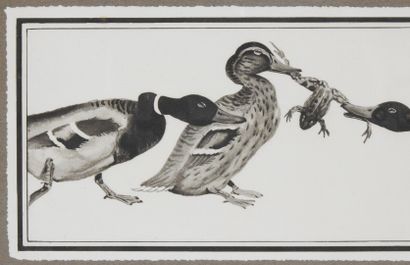 null Paul MARCUEYZ 1877-1952 after

Mallard Ducks and Frogs

Print

Signed in the...