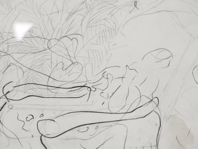 null Pierre LESIEUR (1922-2011)

Etude de femme dans un jardin d'hiver

Graphite...