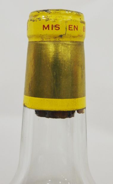 null 1 magnum

Château d'Yquem Lur Saluces - Sauternes - 1981

Petits accidents aux...