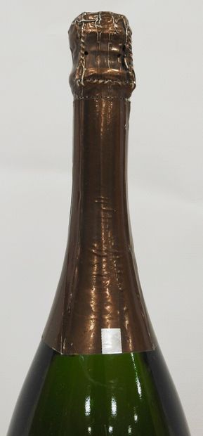 null 1 bottle

Champagne Krug - Krug collection 1981

Damage to the label