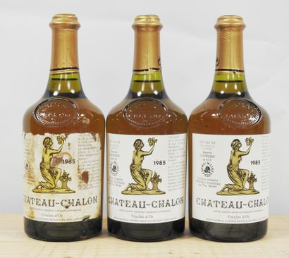 null 3 bottles

Chateau Chalon - Yellow wine reserve catherine de Rye - 1985

Wear...