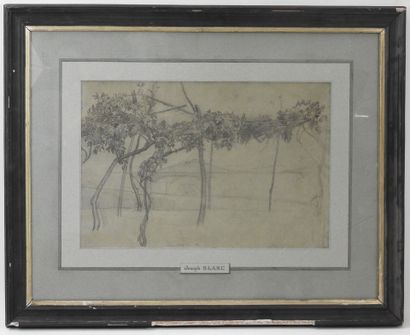 Joseph BLANC (1846-1904). Capri. Drawing....