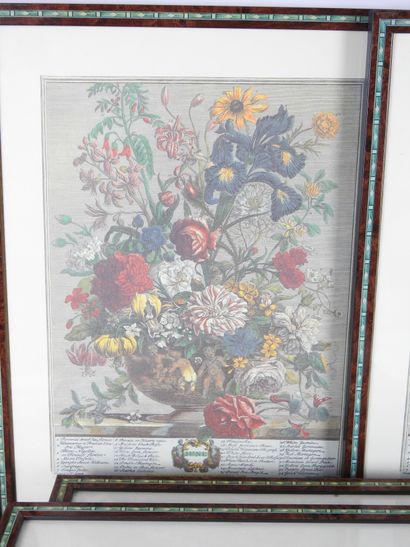 null 
LOT de 13 pièces encadrées, fleurs from the collection of Robert Furber, Gardiner...
