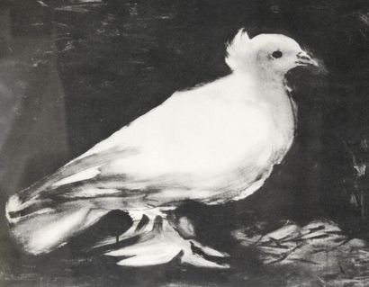 null Pablo PICASSO (1881-1973) d'après 

La colombe 

Estampe en noir et blanc

Epreuve...