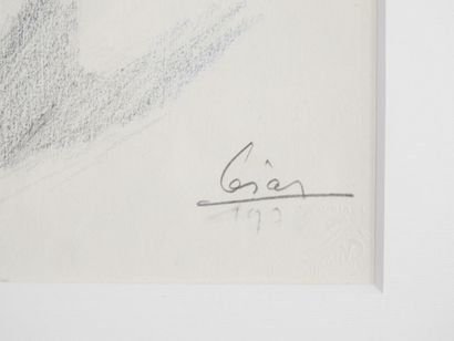 null César Baldaccini (1921 - 1998) dit César

La poule.

Dessin et collage sur papier...