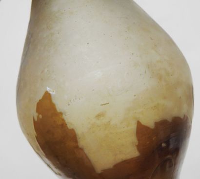 null ETABLISSEMENTS GALLE

Vase of ovoid form out of double glass with floral decoration...
