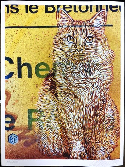 null Christian GUEMY known as "C215" (born in 1973)

Minet.

Digigraphie on Canson...