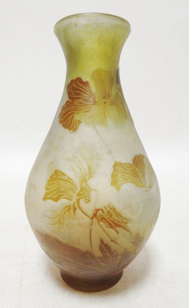 null ETABLISSEMENTS GALLE

Vase of ovoid form out of double glass with floral decoration...