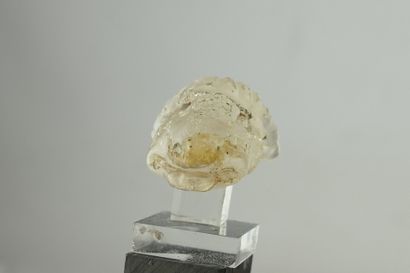 null EGYPTE : Tête de bélier Khnoum en cristal de roche. XXVIe-XXXe Dynastie (663-332...