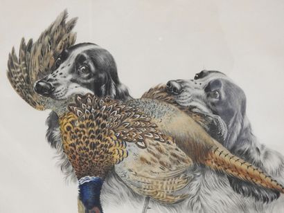 null Léon DANCHIN (1887-1938) after

Hunting dog with pheasant

Lithograph in colors

Signed...
