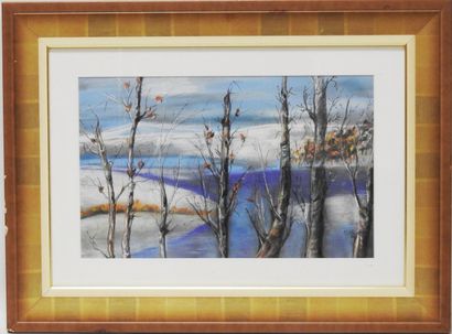 null Nyka MAYET - XXth century

Winter landscape

Pastel

Signed lower right 

28...