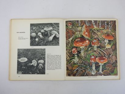 null HEM Roger. Les Champignons. Editions Alpina, Paris, 1948. Un vol. broché, E.O....