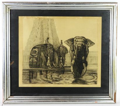 null D'après JOUVE : les Elephants de Madura. Lithographie. Trace de signature apocryphe...
