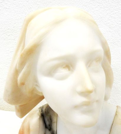 null Marble and onyx sculpted bust representing Joan of Arc on a rectangular base


Size...