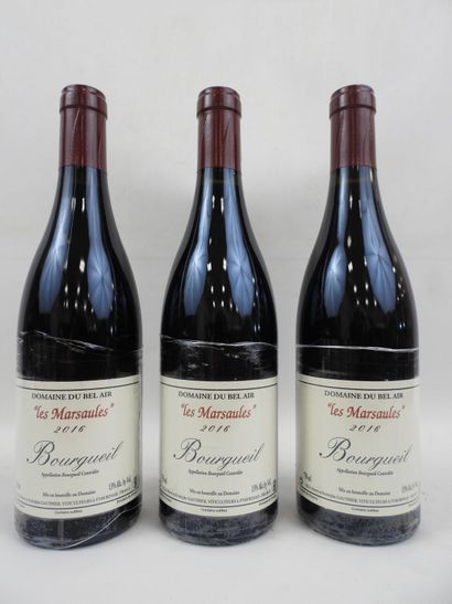 3 bouteilles Bourgueil rouge Marsaules « Bel...