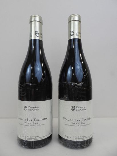 2 bouteilles Beaune Rouge Tuvilains Domaine...