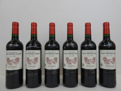 6 bouteilles Château Haut Grand Champ cuvée...