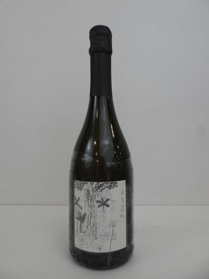 null 1 bouteille de vin nature pétillant extra Château Fausse Seche.