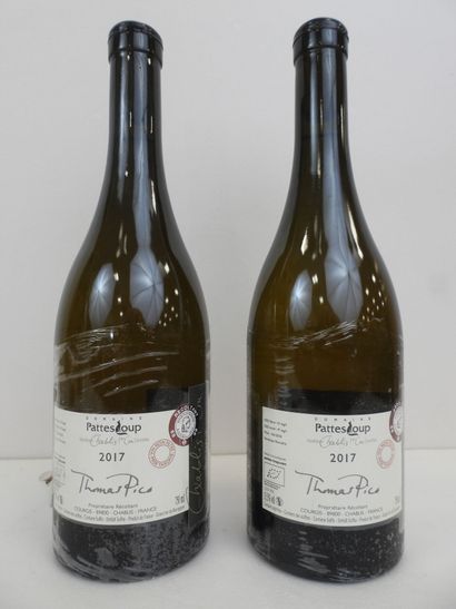 2 bouteilles Chablis Bio Butteaux Pattes...