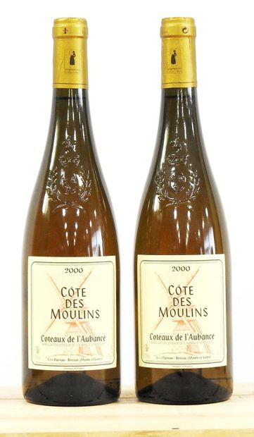 null 2 bottles 

Côtes des Moulins 

2000

Coteaux de l'Aubance (sweet Anjoux)