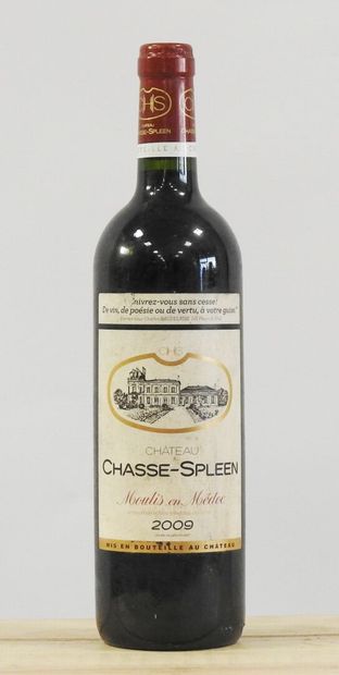 null 1 bottle 

Château Chasse-Spleen

2009 

Moulis in the Médoc