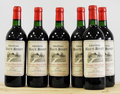 6 bouteilles 
Château Haut-Binet 
1985 
Montagne...