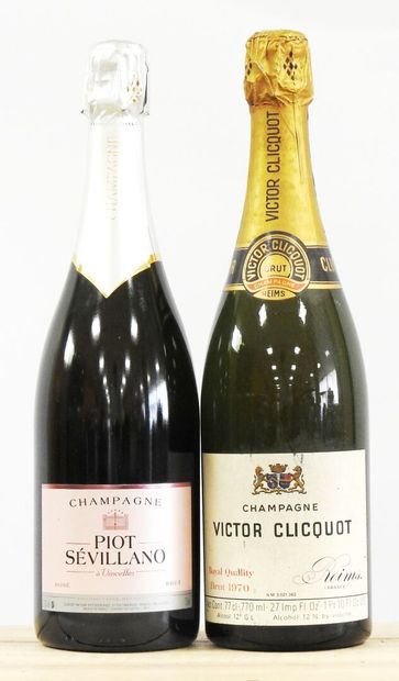 null 2 bouteilles

1 Champagne brut 1970 - Victor Clicquot 

1 Champagne brut rosé...