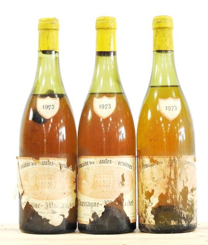 null 3 bouteilles

Chassagne-Montrachet 

1973

Domaine des Hautes-Cornières

Etiquettes...