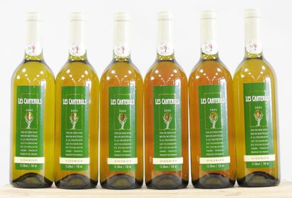 null 6 bouteilles

Les Canteruls - Viognier - Vin du pays d'Oc - 2001