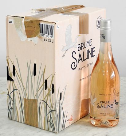 null 6 bouteilles 

Brume Saline 

2020

Pays d'Oc - rosé
