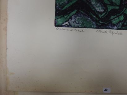 null Gail SINGER (1924-1983): Plant. Etching in colors. Signed, dated 1960, titled...