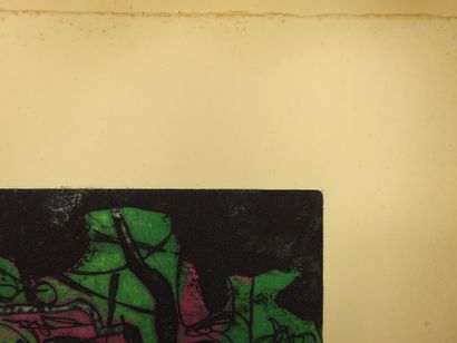 null Gail SINGER (1924-1983) : Plante végétale. Gravure en couleurs. Signé, daté...